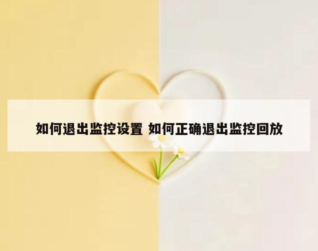 如何退出监控设置 如何正确退出监控回放