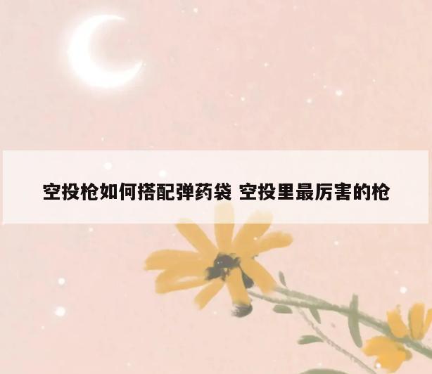 空投枪如何搭配弹药袋 空投里最厉害的枪
