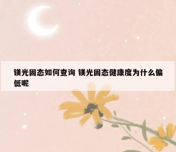 镁光固态如何查询 镁光固态健康度为什么偏低呢
