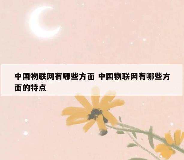 中国物联网有哪些方面 中国物联网有哪些方面的特点