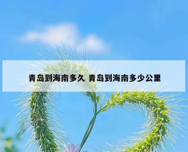 青岛到海南多久 青岛到海南多少公里