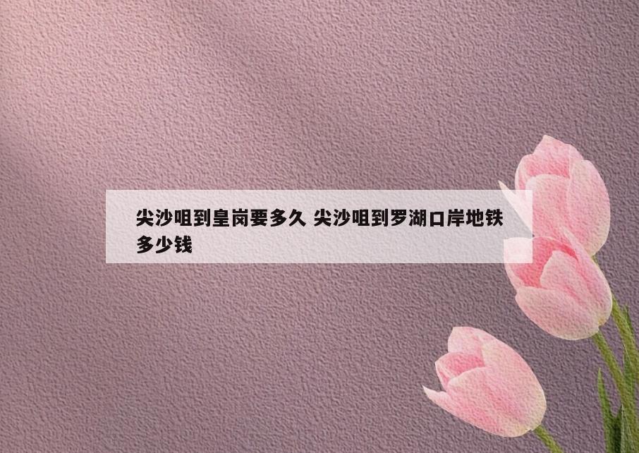 尖沙咀到皇岗要多久 尖沙咀到罗湖口岸地铁多少钱