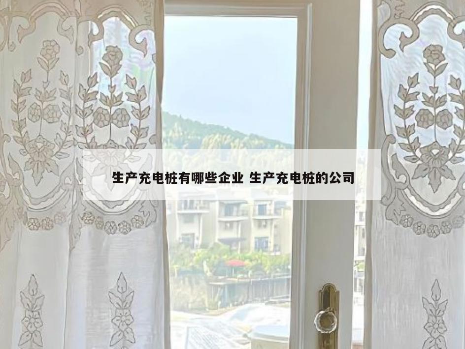 生产充电桩有哪些企业 生产充电桩的公司