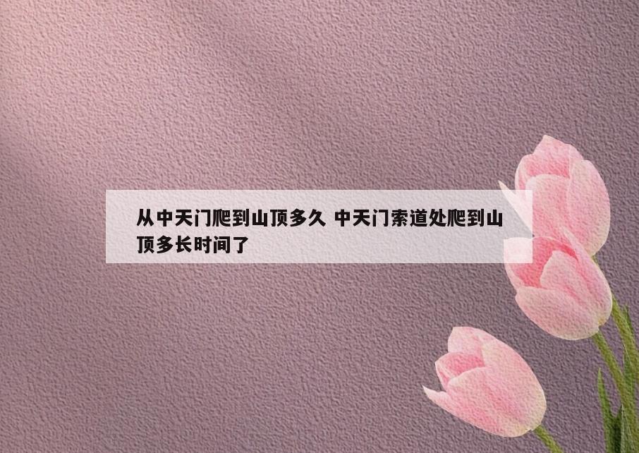 从中天门爬到山顶多久 中天门索道处爬到山顶多长时间了