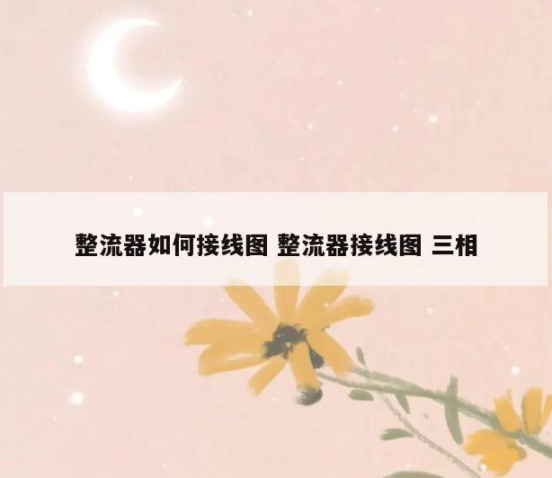 整流器如何接线图 整流器接线图 三相