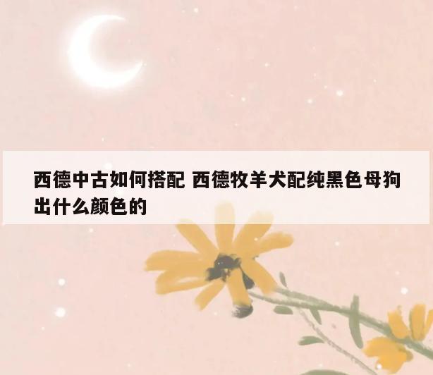 西德中古如何搭配 西德牧羊犬配纯黑色母狗出什么颜色的