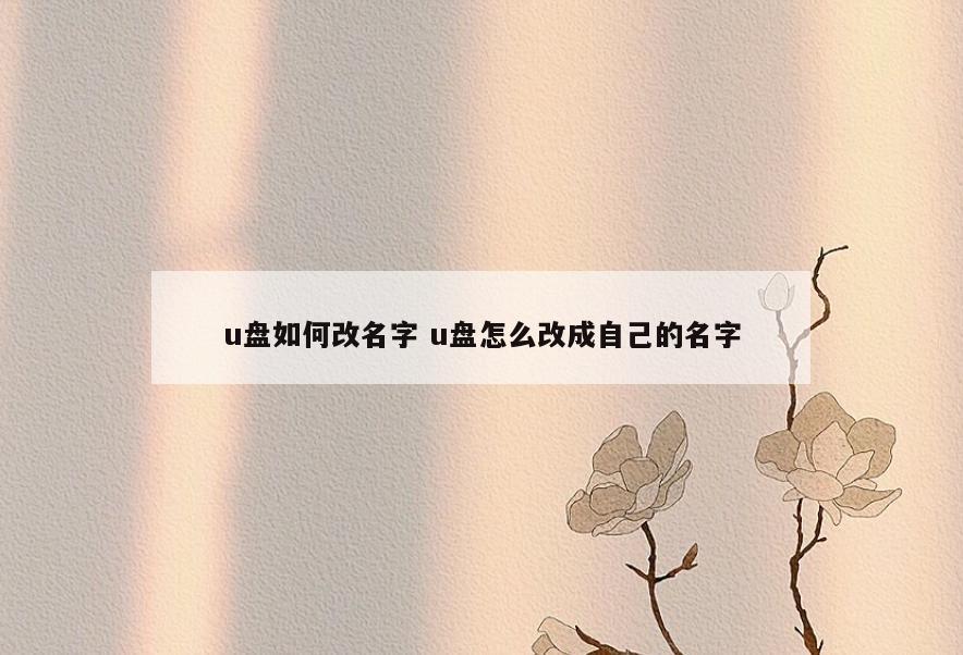 u盘如何改名字 u盘怎么改成自己的名字
