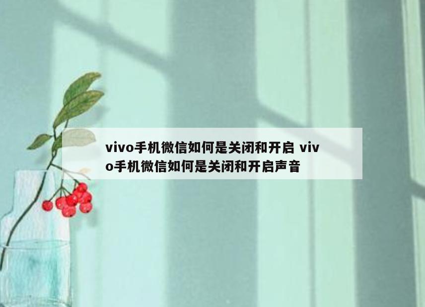 vivo手机微信如何是关闭和开启 vivo手机微信如何是关闭和开启声音