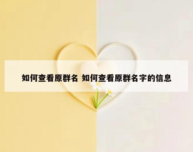 如何查看原群名 如何查看原群名字的信息