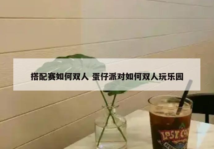 搭配赛如何双人 蛋仔派对如何双人玩乐园