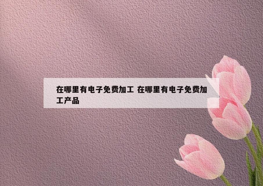 在哪里有电子免费加工 在哪里有电子免费加工产品