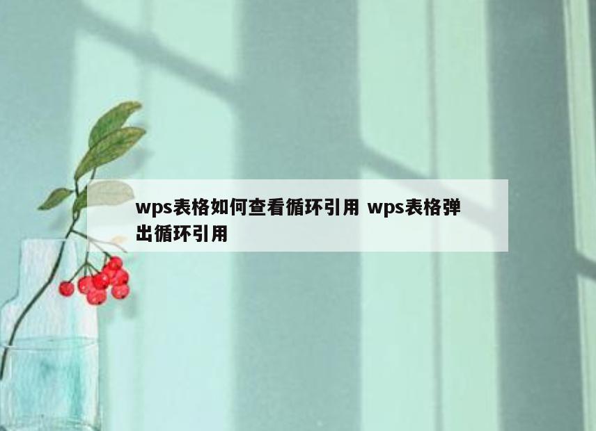 wps表格如何查看循环引用 wps表格弹出循环引用