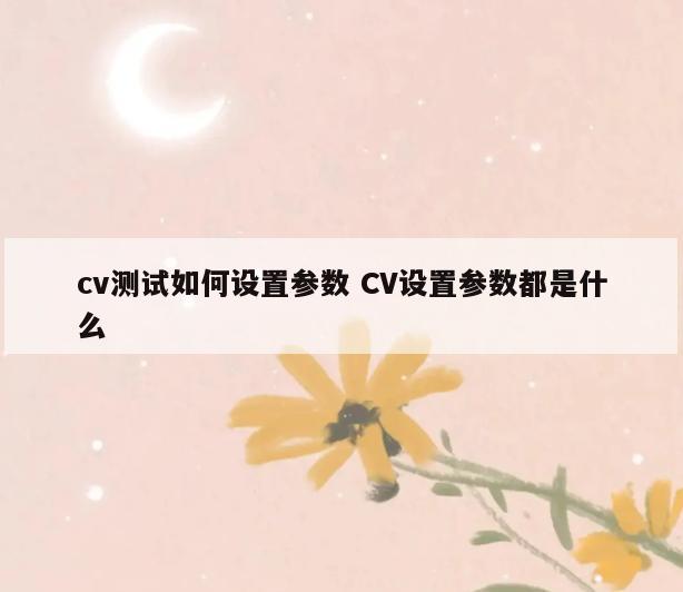 cv测试如何设置参数 CV设置参数都是什么