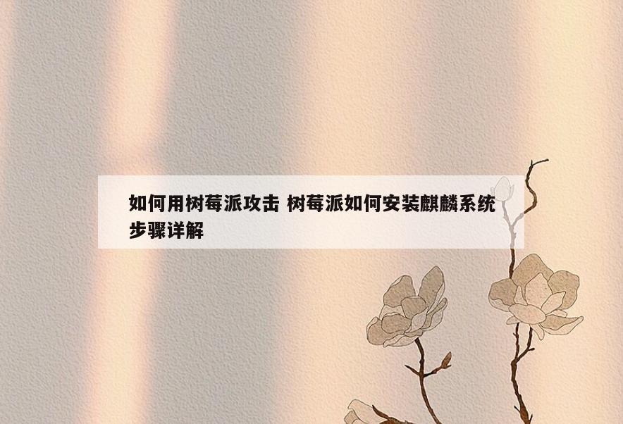 如何用树莓派攻击 树莓派如何安装麒麟系统步骤详解
