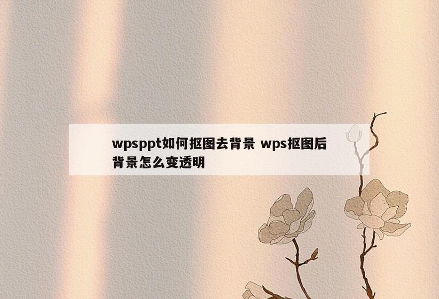 wpsppt如何抠图去背景 wps抠图后背景怎么变透明
