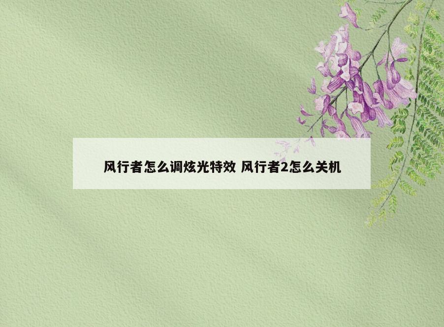 风行者怎么调炫光特效 风行者2怎么关机