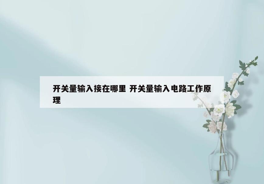 开关量输入接在哪里 开关量输入电路工作原理