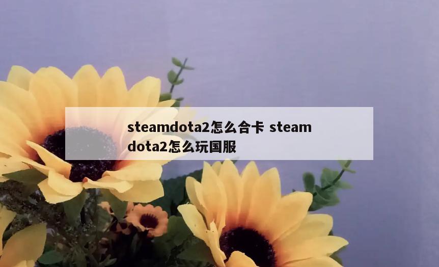 steamdota2怎么合卡 steamdota2怎么玩国服