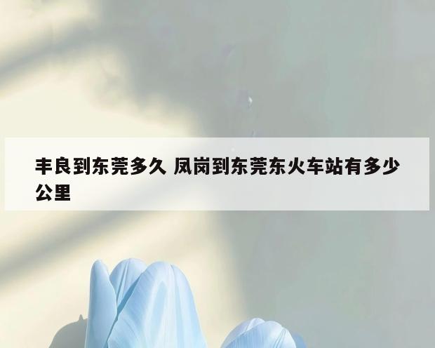 丰良到东莞多久 凤岗到东莞东火车站有多少公里