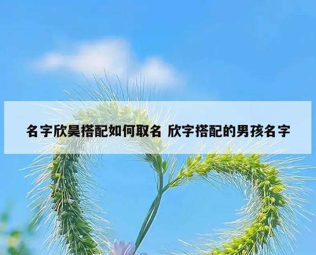 名字欣昊搭配如何取名 欣字搭配的男孩名字