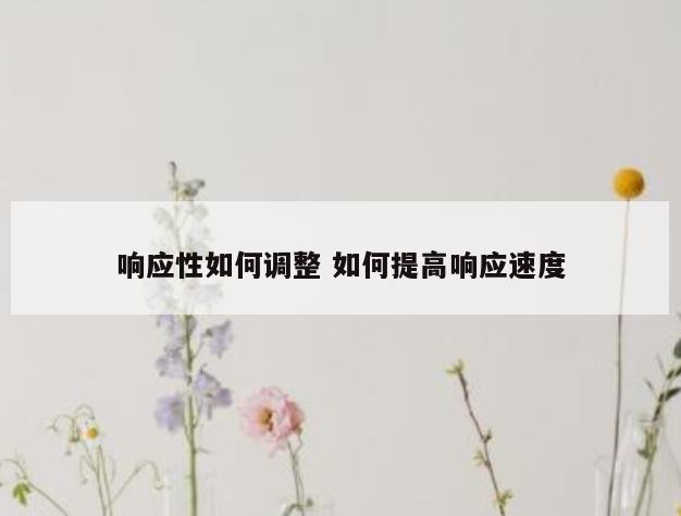 响应性如何调整 如何提高响应速度