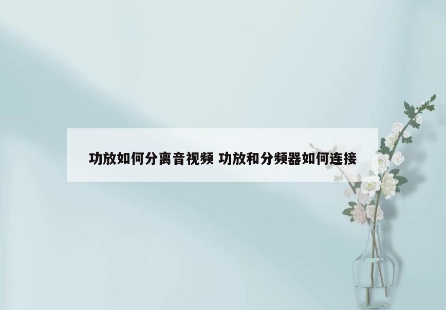 功放如何分离音视频 功放和分频器如何连接