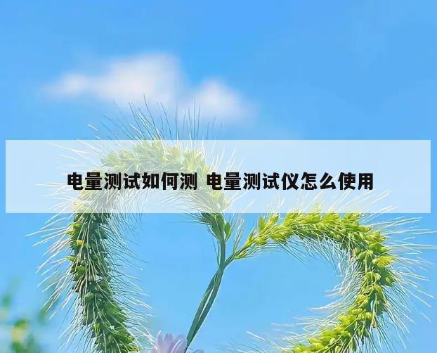 电量测试如何测 电量测试仪怎么使用