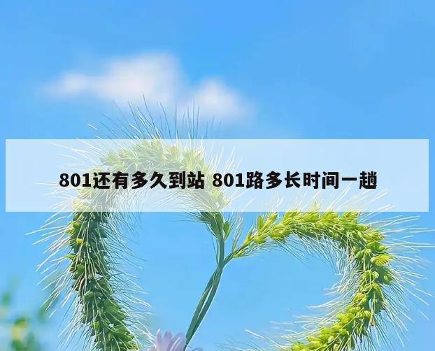 801还有多久到站 801路多长时间一趟