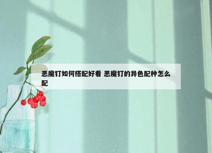 恶魔钉如何搭配好看 恶魔钉的异色配种怎么配