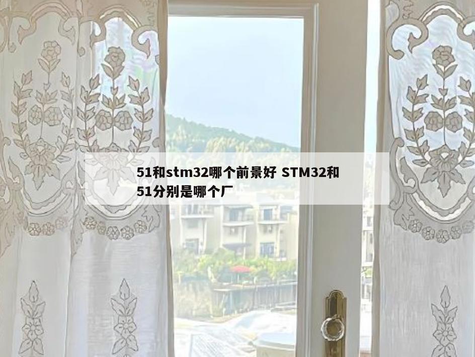 51和stm32哪个前景好 STM32和51分别是哪个厂