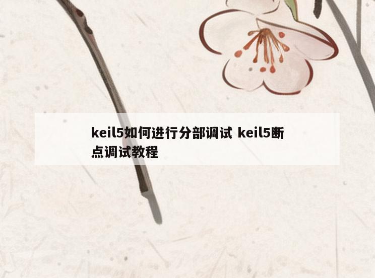 keil5如何进行分部调试 keil5断点调试教程