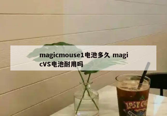magicmouse1电池多久 magicVS电池耐用吗