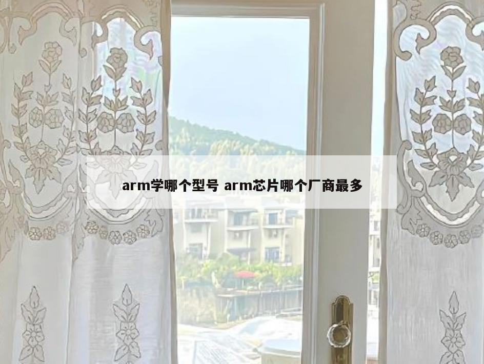 arm学哪个型号 arm芯片哪个厂商最多