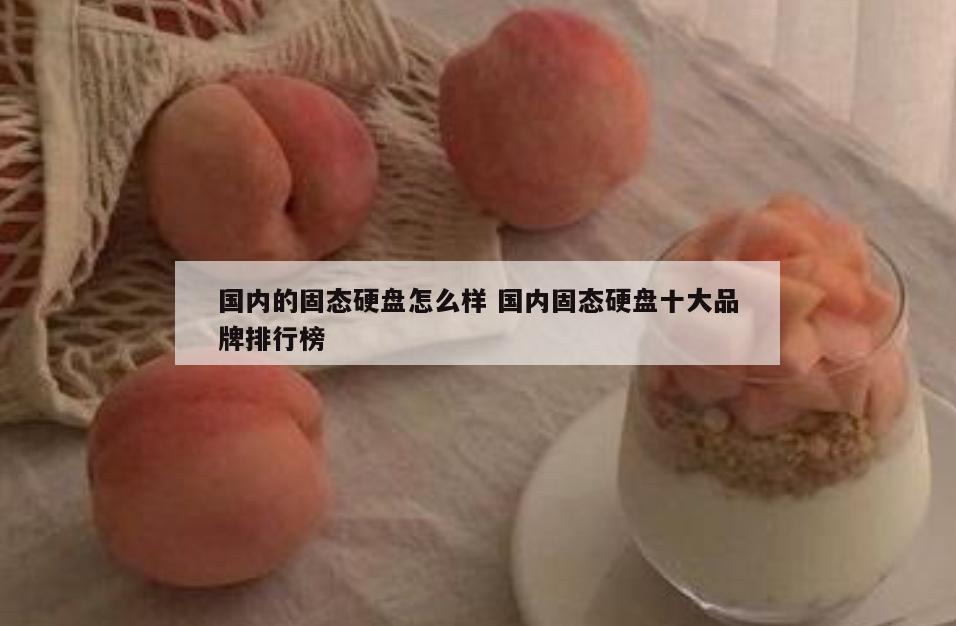 国内的固态硬盘怎么样 国内固态硬盘十大品牌排行榜