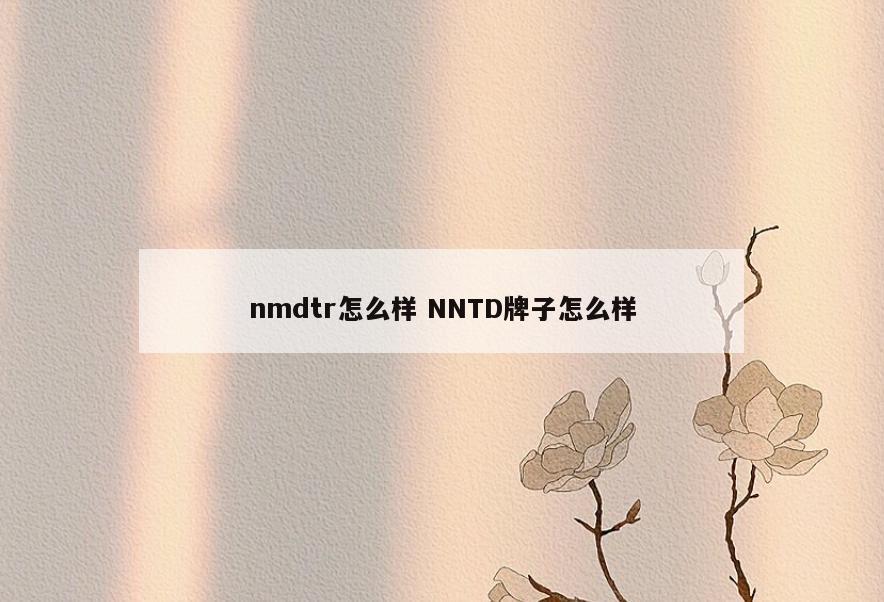 nmdtr怎么样 NNTD牌子怎么样