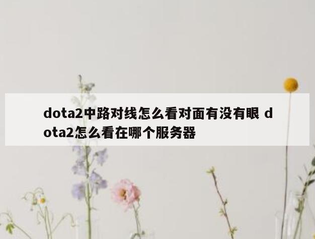 dota2中路对线怎么看对面有没有眼 dota2怎么看在哪个服务器