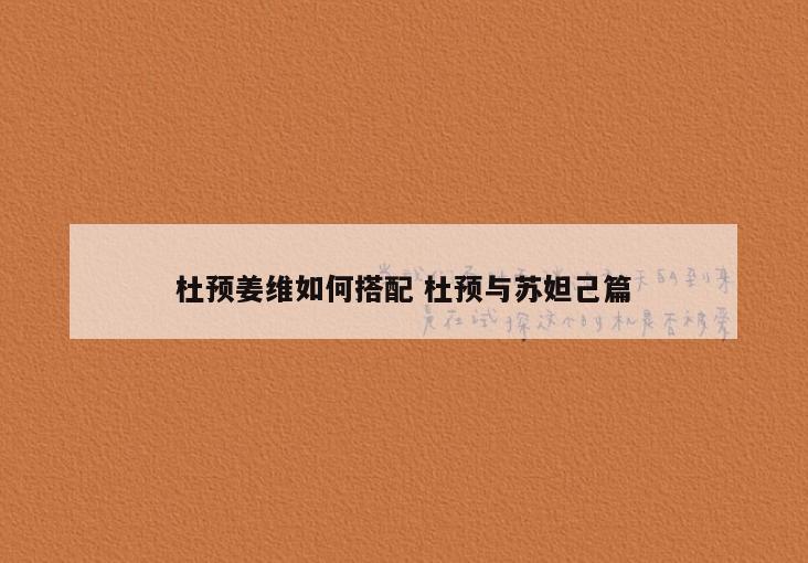 杜预姜维如何搭配 杜预与苏妲己篇