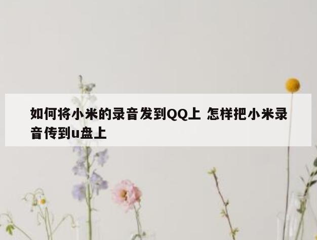 如何将小米的录音发到QQ上 怎样把小米录音传到u盘上