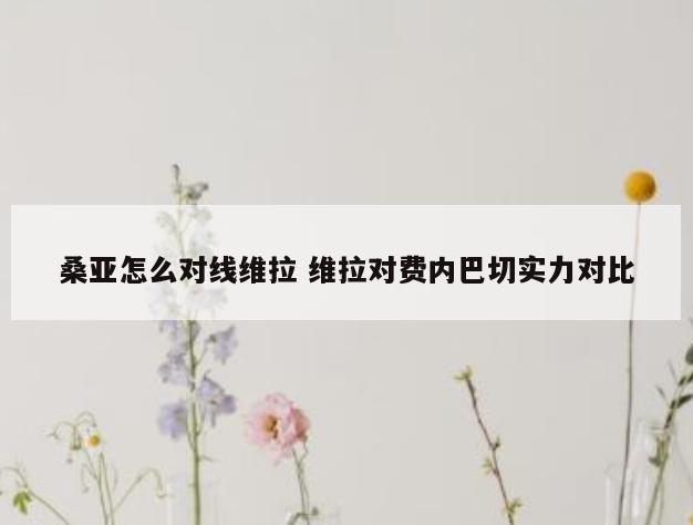 桑亚怎么对线维拉 维拉对费内巴切实力对比