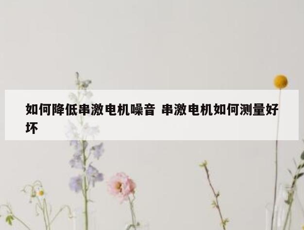 如何降低串激电机噪音 串激电机如何测量好坏