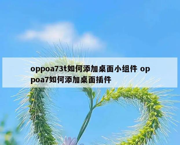 oppoa73t如何添加桌面小组件 oppoa7如何添加桌面插件