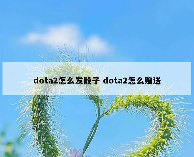 dota2怎么发骰子 dota2怎么赠送