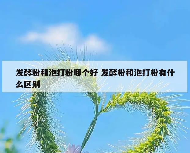 发酵粉和泡打粉哪个好 发酵粉和泡打粉有什么区别