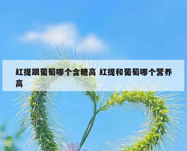 红提跟葡萄哪个含糖高 红提和葡萄哪个营养高