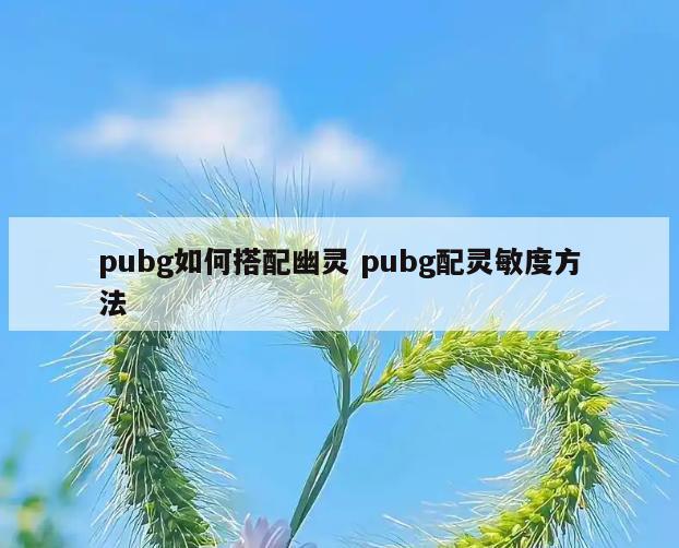 pubg如何搭配幽灵 pubg配灵敏度方法