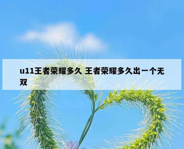 u11王者荣耀多久 王者荣耀多久出一个无双