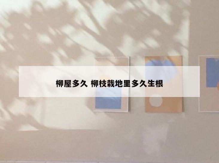 柳屋多久 柳枝栽地里多久生根
