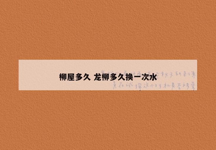 柳屋多久 龙柳多久换一次水