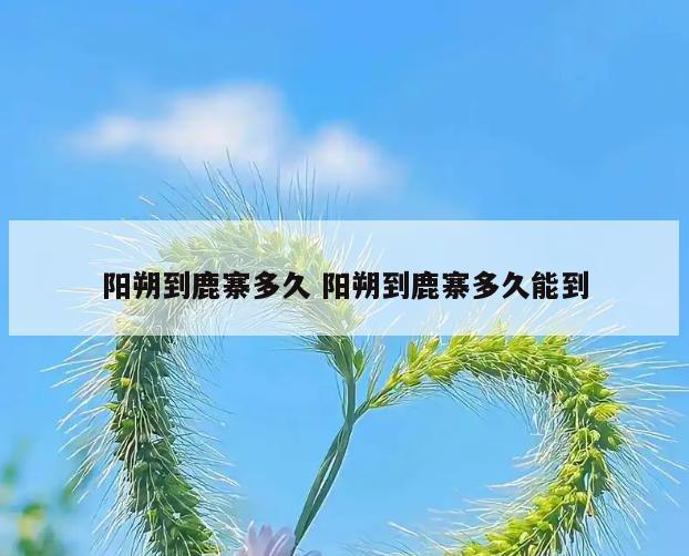 阳朔到鹿寨多久 阳朔到鹿寨多久能到
