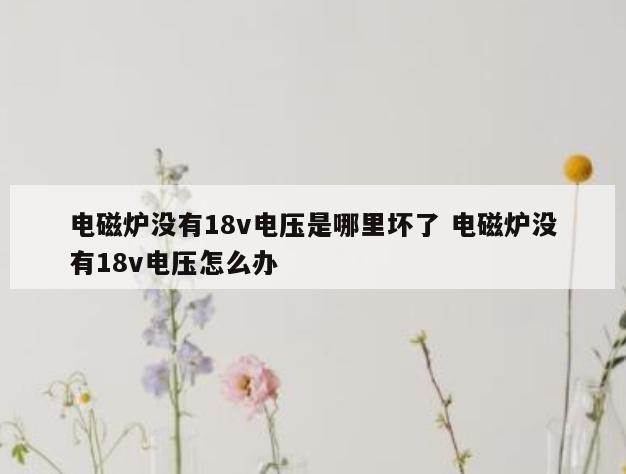 电磁炉没有18v电压是哪里坏了 电磁炉没有18v电压怎么办